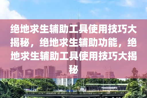 绝地求生辅助工具使用技巧大揭秘，绝地求生辅助功能，绝地求生辅助工具使用技巧大揭秘