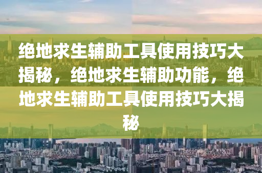 绝地求生辅助工具使用技巧大揭秘，绝地求生辅助功能，绝地求生辅助工具使用技巧大揭秘