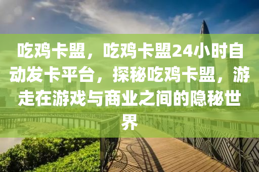 吃鸡卡盟，吃鸡卡盟24小时自动发卡平台，探秘吃鸡卡盟，游走在游戏与商业之间的隐秘世界