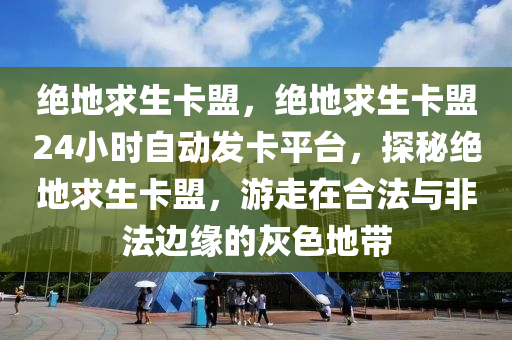 绝地求生卡盟，绝地求生卡盟24小时自动发卡平台，探秘绝地求生卡盟，游走在合法与非法边缘的灰色地带