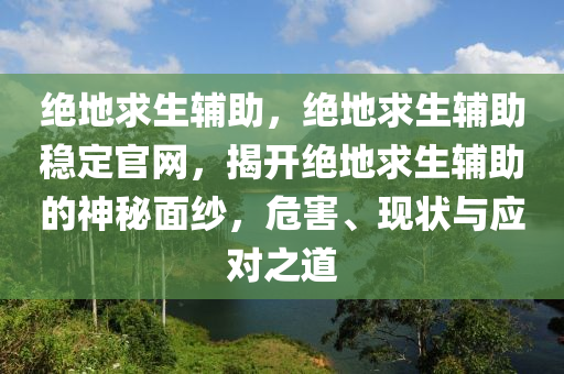 绝地求生辅助，绝地求生辅助稳定官网，揭开绝地求生辅助的神秘面纱，危害、现状与应对之道