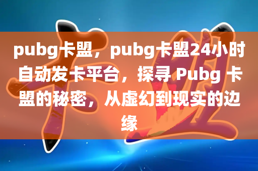 pubg卡盟，pubg卡盟24小时自动发卡平台，探寻 Pubg 卡盟的秘密，从虚幻到现实的边缘