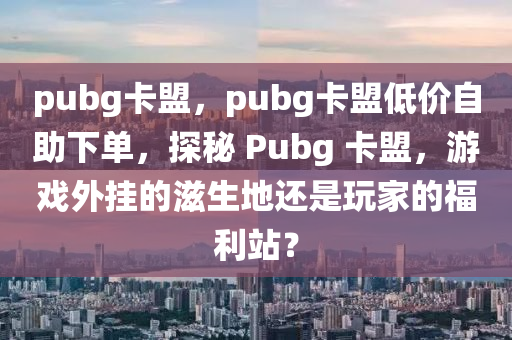 pubg卡盟，pubg卡盟低价自助下单，探秘 Pubg 卡盟，游戏外挂的滋生地还是玩家的福利站？
