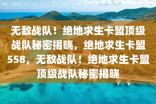 无敌战队！绝地求生卡盟顶级战队秘密揭晓，绝地求生卡盟558，无敌战队！绝地求生卡盟顶级战队秘密揭晓