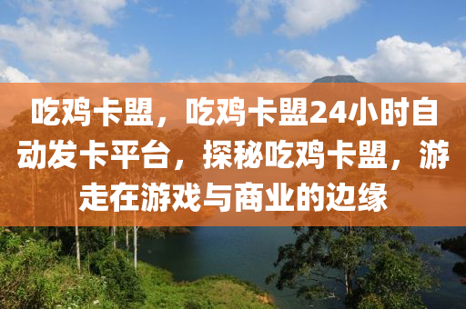 吃鸡卡盟，吃鸡卡盟24小时自动发卡平台，探秘吃鸡卡盟，游走在游戏与商业的边缘