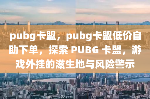 pubg卡盟，pubg卡盟低价自助下单，探索 PUBG 卡盟，游戏外挂的滋生地与风险警示