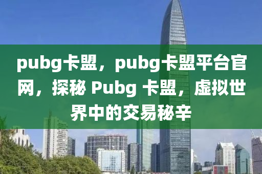 pubg卡盟，pubg卡盟平台官网，探秘 Pubg 卡盟，虚拟世界中的交易秘辛