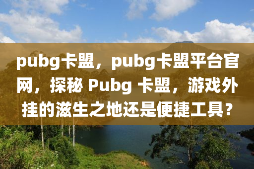 pubg卡盟，pubg卡盟平台官网，探秘 Pubg 卡盟，游戏外挂的滋生之地还是便捷工具？