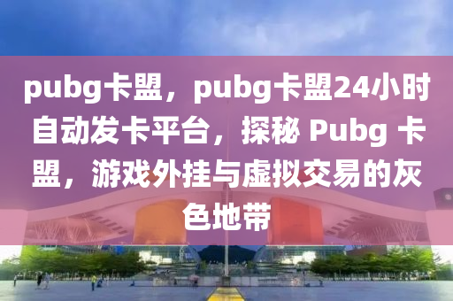 pubg卡盟，pubg卡盟24小时自动发卡平台，探秘 Pubg 卡盟，游戏外挂与虚拟交易的灰色地带