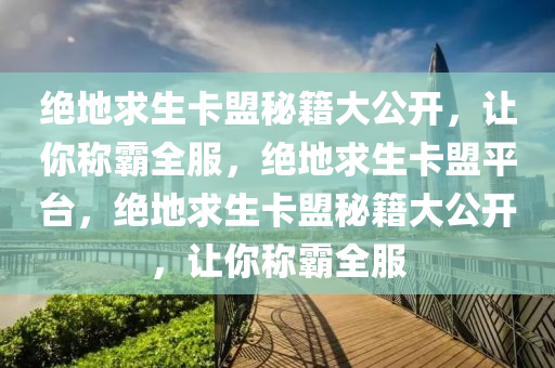 绝地求生卡盟秘籍大公开，让你称霸全服，绝地求生卡盟平台，绝地求生卡盟秘籍大公开，让你称霸全服