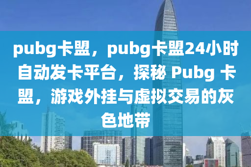 pubg卡盟，pubg卡盟24小时自动发卡平台，探秘 Pubg 卡盟，游戏外挂与虚拟交易的灰色地带