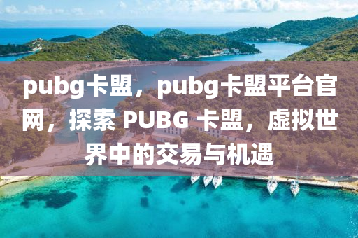 pubg卡盟，pubg卡盟平台官网，探索 PUBG 卡盟，虚拟世界中的交易与机遇