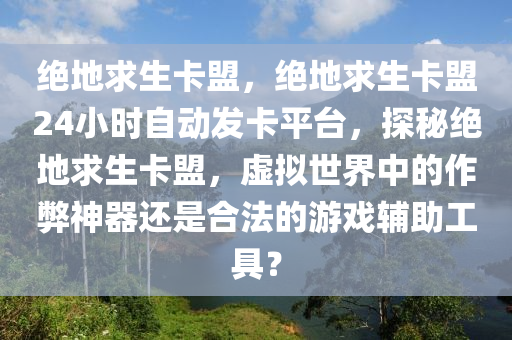 绝地求生卡盟，绝地求生卡盟24小时自动发卡平台，探秘绝地求生卡盟，虚拟世界中的作弊神器还是合法的游戏辅助工具？