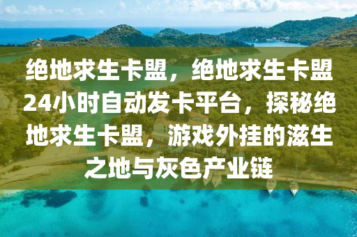 绝地求生卡盟，绝地求生卡盟24小时自动发卡平台，探秘绝地求生卡盟，游戏外挂的滋生之地与灰色产业链