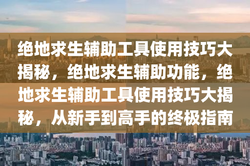 绝地求生辅助工具使用技巧大揭秘，绝地求生辅助功能，绝地求生辅助工具使用技巧大揭秘，从新手到高手的终极指南