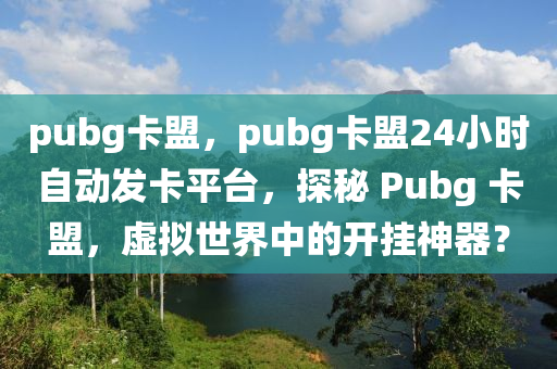 pubg卡盟，pubg卡盟24小时自动发卡平台，探秘 Pubg 卡盟，虚拟世界中的开挂神器？