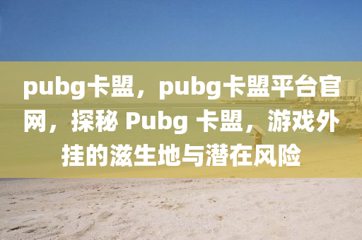 pubg卡盟，pubg卡盟平台官网，探秘 Pubg 卡盟，游戏外挂的滋生地与潜在风险