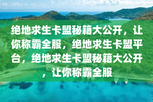 绝地求生卡盟秘籍大公开，让你称霸全服，绝地求生卡盟平台，绝地求生卡盟秘籍大公开，让你称霸全服