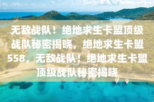 无敌战队！绝地求生卡盟顶级战队秘密揭晓，绝地求生卡盟558，无敌战队！绝地求生卡盟顶级战队秘密揭晓