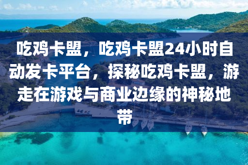 吃鸡卡盟，吃鸡卡盟24小时自动发卡平台，探秘吃鸡卡盟，游走在游戏与商业边缘的神秘地带