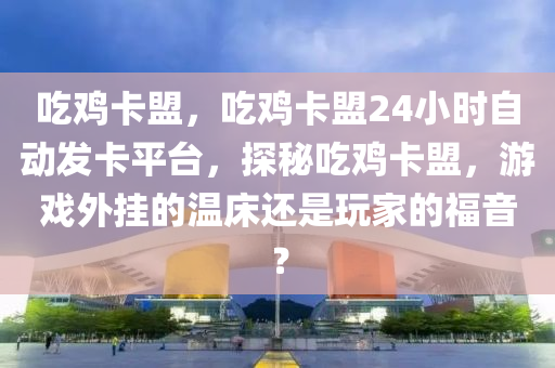 吃鸡卡盟，吃鸡卡盟24小时自动发卡平台，探秘吃鸡卡盟，游戏外挂的温床还是玩家的福音？