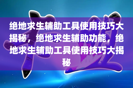 绝地求生辅助工具使用技巧大揭秘，绝地求生辅助功能，绝地求生辅助工具使用技巧大揭秘