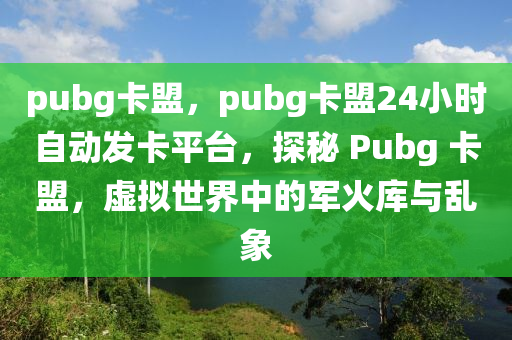 pubg卡盟，pubg卡盟24小时自动发卡平台，探秘 Pubg 卡盟，虚拟世界中的军火库与乱象