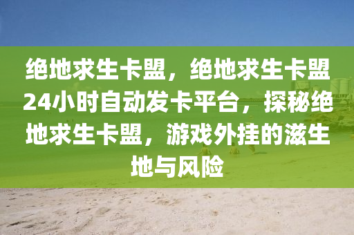 绝地求生卡盟，绝地求生卡盟24小时自动发卡平台，探秘绝地求生卡盟，游戏外挂的滋生地与风险