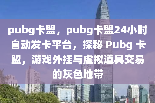 pubg卡盟，pubg卡盟24小时自动发卡平台，探秘 Pubg 卡盟，游戏外挂与虚拟道具交易的灰色地带