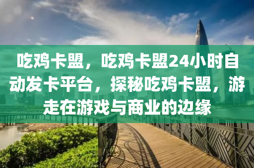 吃鸡卡盟，吃鸡卡盟24小时自动发卡平台，探秘吃鸡卡盟，游走在游戏与商业的边缘