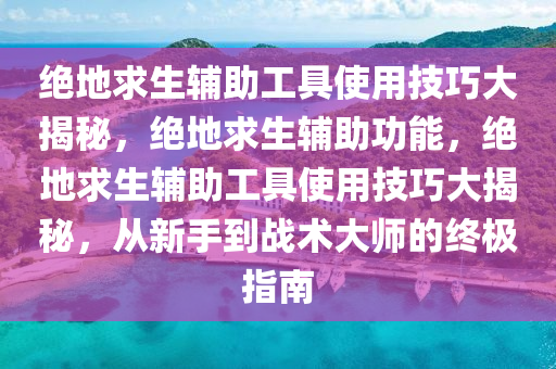 绝地求生辅助工具使用技巧大揭秘，绝地求生辅助功能，绝地求生辅助工具使用技巧大揭秘，从新手到战术大师的终极指南
