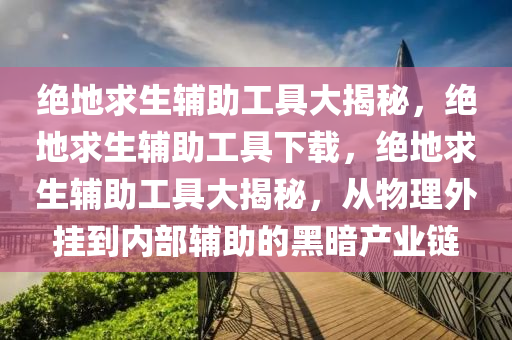 绝地求生辅助工具大揭秘，绝地求生辅助工具下载，绝地求生辅助工具大揭秘，从物理外挂到内部辅助的黑暗产业链