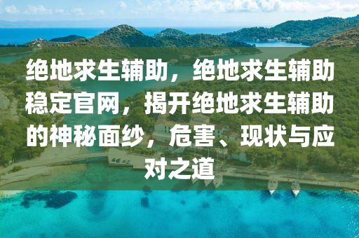 绝地求生辅助，绝地求生辅助稳定官网，揭开绝地求生辅助的神秘面纱，危害、现状与应对之道