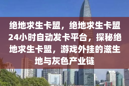 绝地求生卡盟，绝地求生卡盟24小时自动发卡平台，探秘绝地求生卡盟，游戏外挂的滋生地与灰色产业链