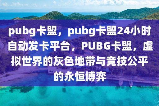 pubg卡盟，pubg卡盟24小时自动发卡平台，PUBG卡盟，虚拟世界的灰色地带与竞技公平的永恒博弈