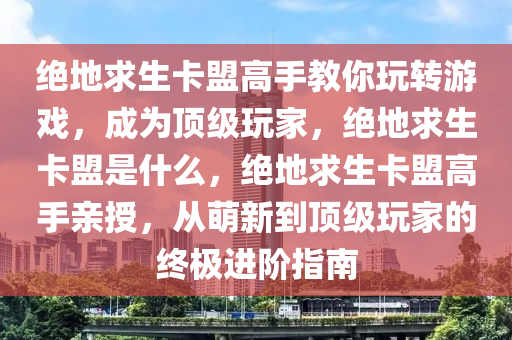 绝地求生卡盟高手教你玩转游戏，成为顶级玩家，绝地求生卡盟是什么，绝地求生卡盟高手亲授，从萌新到顶级玩家的终极进阶指南