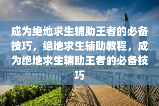 成为绝地求生辅助王者的必备技巧，绝地求生辅助教程，成为绝地求生辅助王者的必备技巧