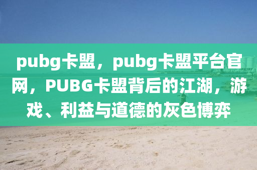 pubg卡盟，pubg卡盟平台官网，PUBG卡盟背后的江湖，游戏、利益与道德的灰色博弈